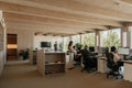 A modern open-plan office interior with light wood troldtekt  acoustic ceiling panels