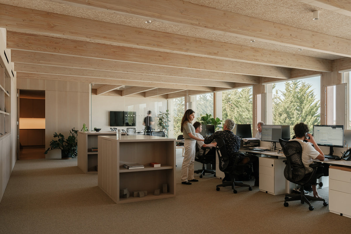 A modern open-plan office interior with light wood troldtekt  acoustic ceiling panels