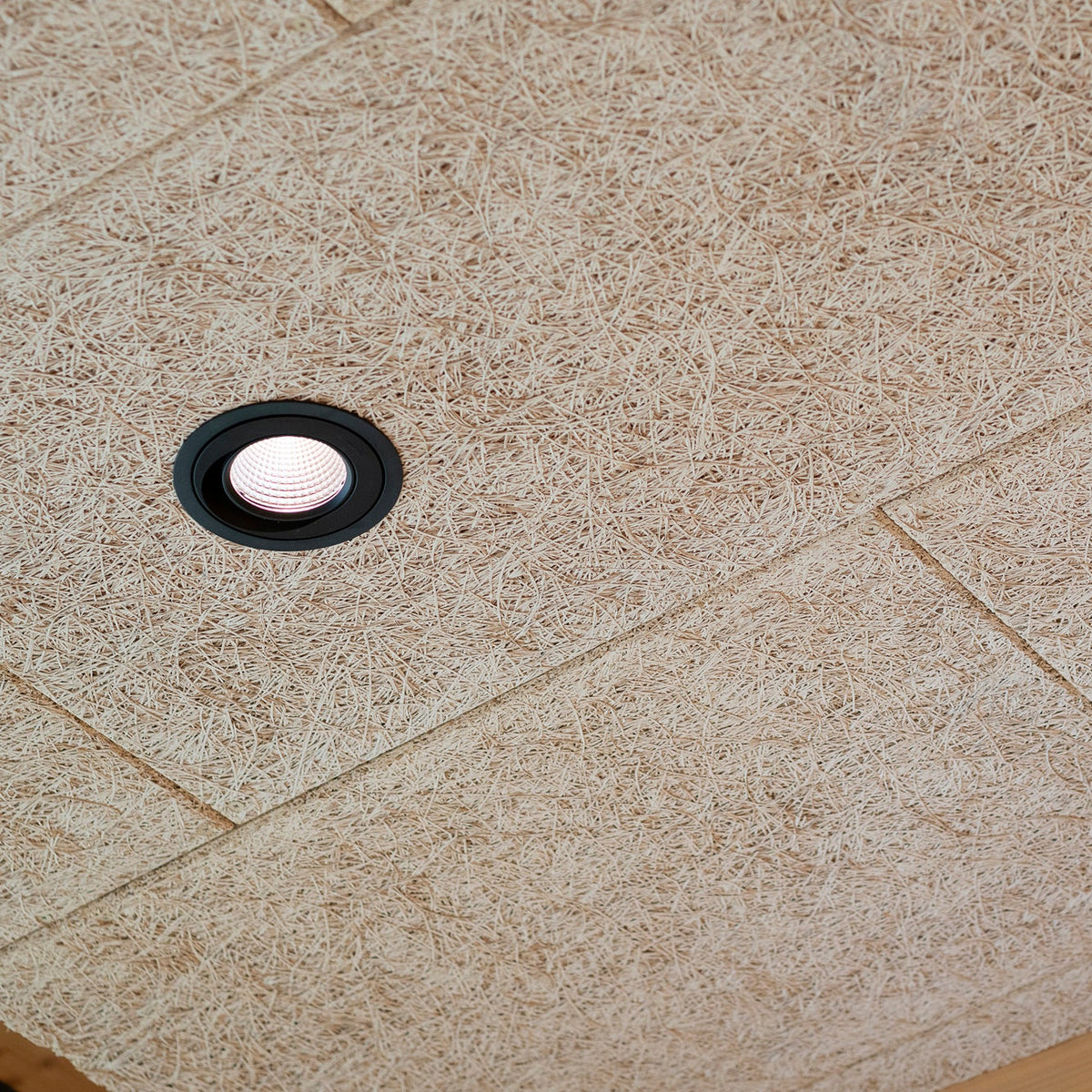Troldtekt acoustic ceiling tiles with a black recessed light and a small round fixture, shown installed on a ceiling